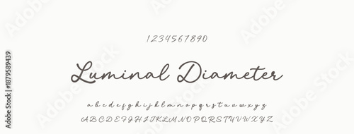 Signature Font Uppercase Lowercase And Number. Script Font Calligraphy Logotype  elegant Font Type Font lettering handwritten. vector illustration