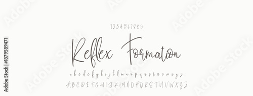 Signature Font Uppercase Lowercase And Number. Script Font Calligraphy Logotype  elegant Font Type Font lettering handwritten. vector illustration