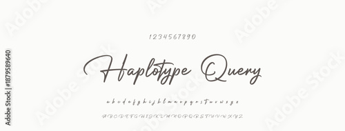 Signature Font Uppercase Lowercase And Number. Script Font Calligraphy Logotype  elegant Font Type Font lettering handwritten. vector illustration