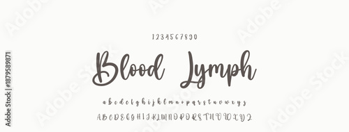 Signature Font Uppercase Lowercase And Number. Script Font Calligraphy Logotype  elegant Font Type Font lettering handwritten. vector illustration