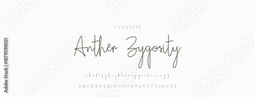 Signature Font Uppercase Lowercase And Number. Script Font Calligraphy Logotype  elegant Font Type Font lettering handwritten. vector illustration