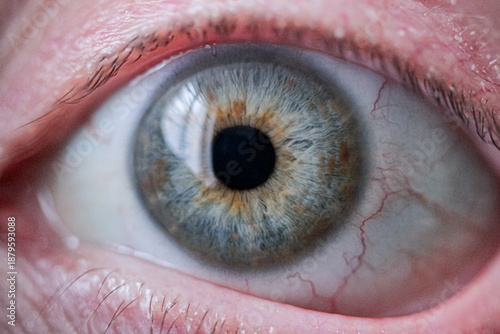 Wallpaper Mural close up of eye Torontodigital.ca