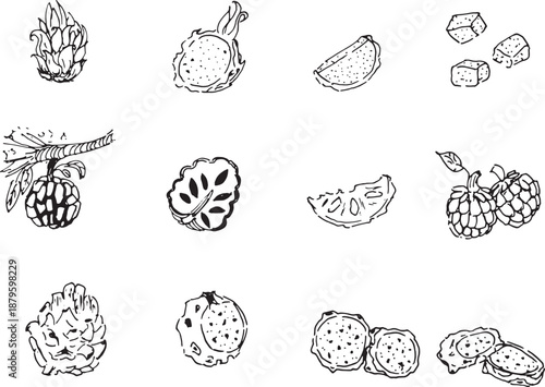 Fruits