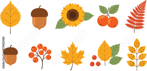 Autumn nature illustration set with fall leaves acorns berries sunflower and seasonal botanical elements