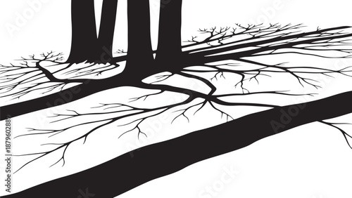 Silhouette of bare tree branches against white background scene