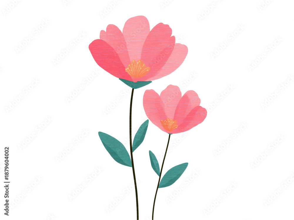 Obraz premium Two pink flowers with green leaves