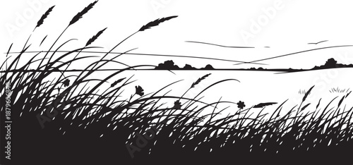 Serene landscape with grass and distant hills silhouette