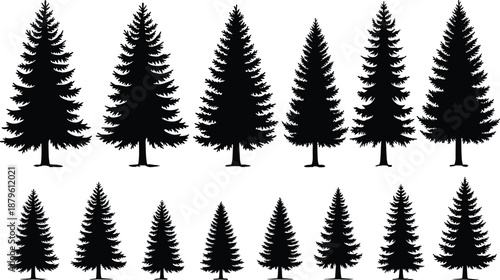 Pine and fir tree silhouettes collection, evergreen forest shapes set isolated on white background