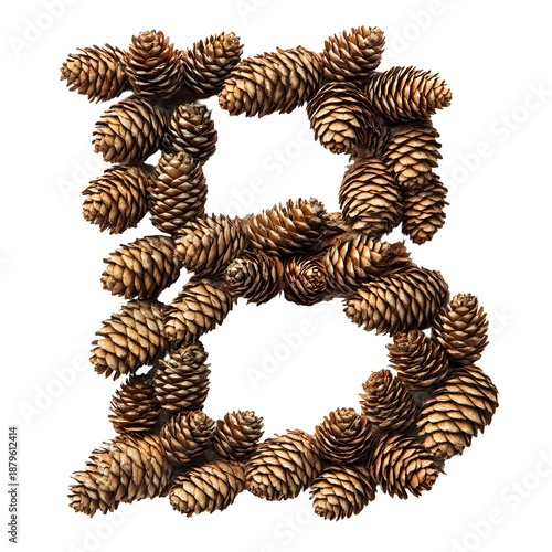 Top View of Letter B Made of Pine Cones Isolated on Transparent Background
