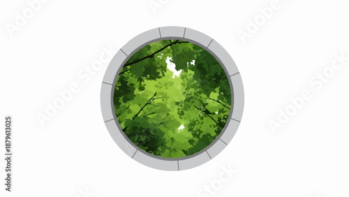 View looking up through a circular opening at vibrant green tree canopy with dappled sunlight