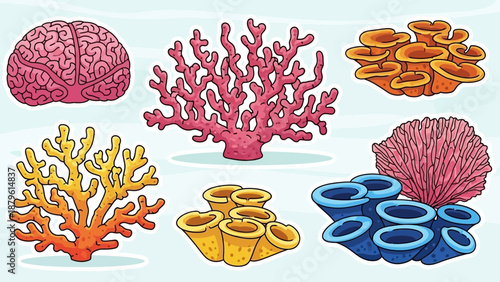 Brain Coral and Sea Corals Collection - Underwater Life