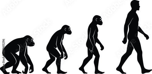   
Silhouette sequence of human evolution from ape to modern human, black and white graphic, anthropology theme, transparent background illustration
