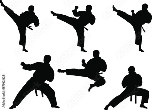 Martial Arts Silhouettes – Airborne Kicks & Combat Stances