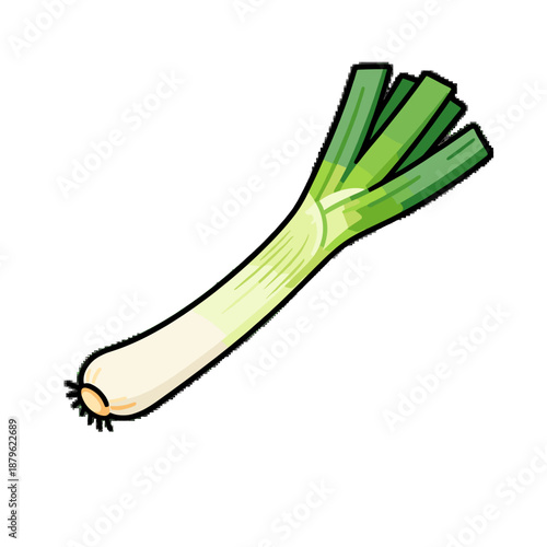 [Vector EPS]Fresh green leek vegetable with long white and green parts