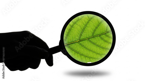 A silhouette of a hand holds a magnifying glass over a detailed green leaf.