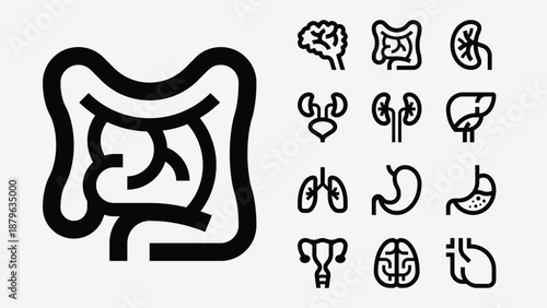 Internal organs anatomy icons set