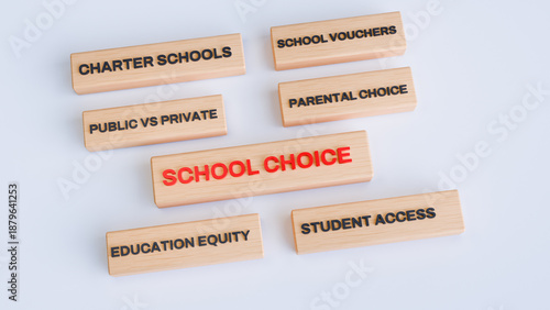 Fotografie 3D Wooden Blocks with School Choice, Public vs Private Schools and Education Equ