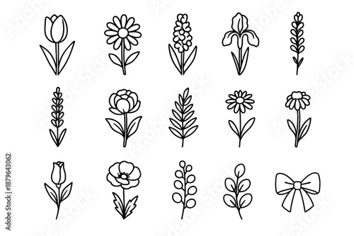 Hyacinth rosebud bow tulip fern vector iris flora spring icons peony eucalyptus