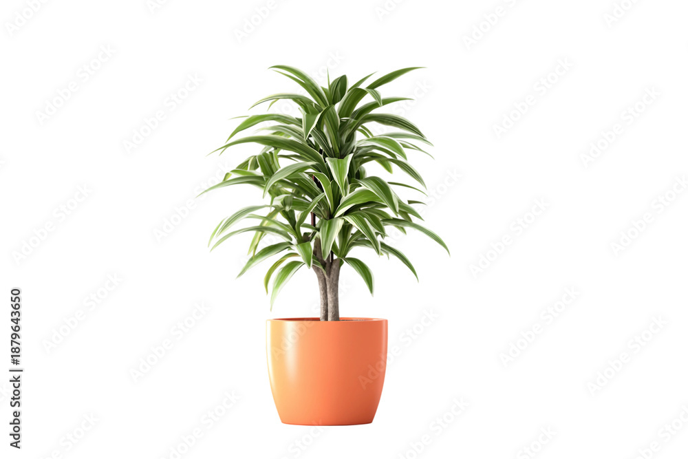 Fototapeta premium Ceramic Potted Plant Isolated on Transparent Background