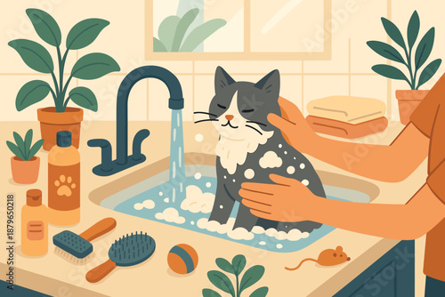 Cat supplies session surrounded grooming vector water warm illustration pet including washed