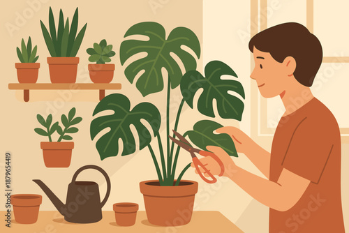 Watering routine room vector plant houseplant small softly illustration houseplants trimming care