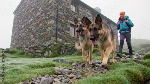 Two German Shepherds and a Hiker Explore a Rocky Mountain Path Near a Stone Building.