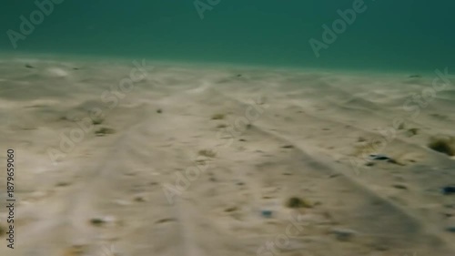 Underwater Sandy Bottom with Gentle Ripples and Clear Green Water.