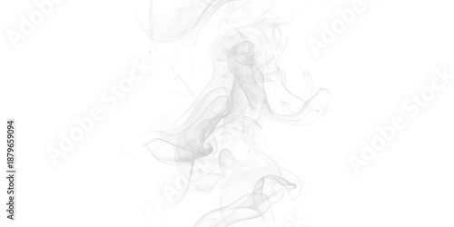 Vászonkép White smoke swirls curls on dark black background wispy ethereal abstract patter