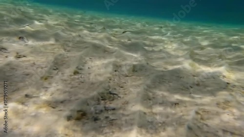 Underwater sandy seabed with clear blue water and sunlight ripples.