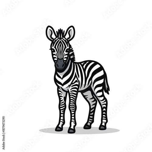 Black and White Zebra Standing on White Background Illustration
