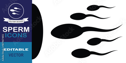 Sperm and egg fertilization, pregnancy concept vector illustration. Male reproductive cell. Spermatozoon flat vector icon for biology. Silhouette vector illustration.