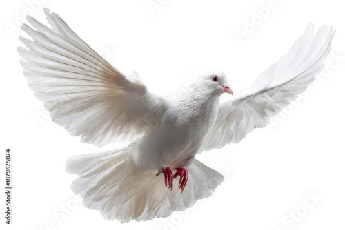 A white bird with red feet and a red beak flying in the air