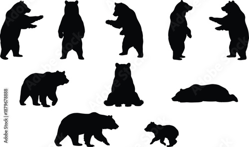 Black bear silhouettes collection showing standing walking sitting and resting poses, wildlife animal illustration set for nature, forest, predator, graphic design concepts