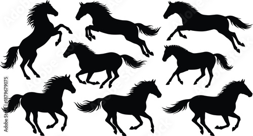 Black horse silhouettes set showing galloping, running and rearing poses, wild equine animal illustration collection for freedom, motion, nature, and graphic design concepts