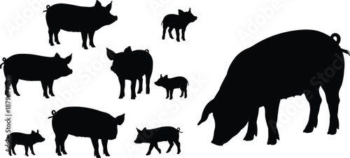 Black pig silhouettes set showing adult pigs and piglets isolated on white background, farm livestock shapes for agriculture design, logos, posters, and illustrations