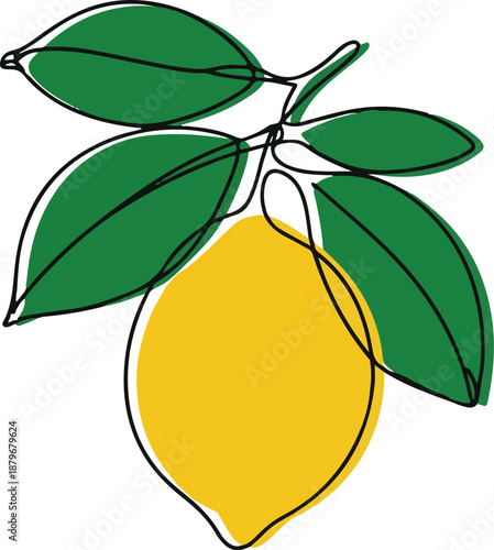 Continuous Line Drawing of a Lemon Branch