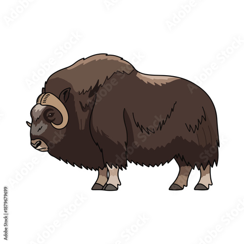 Brown Furry Cartoon Musk Ox with Large Curved Horns Standing