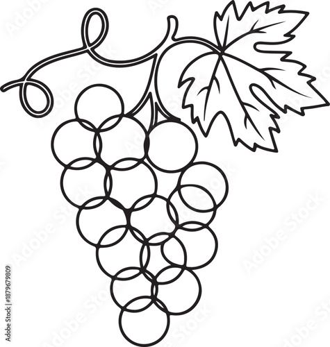 Continuous Line Drawing of a Grape Cluster