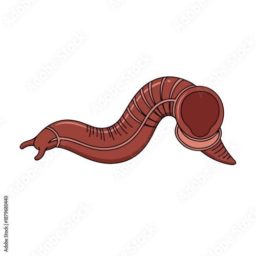 Red Earthworm Cartoon Style Isolated on White Background for Ecology and Wildlife Themes