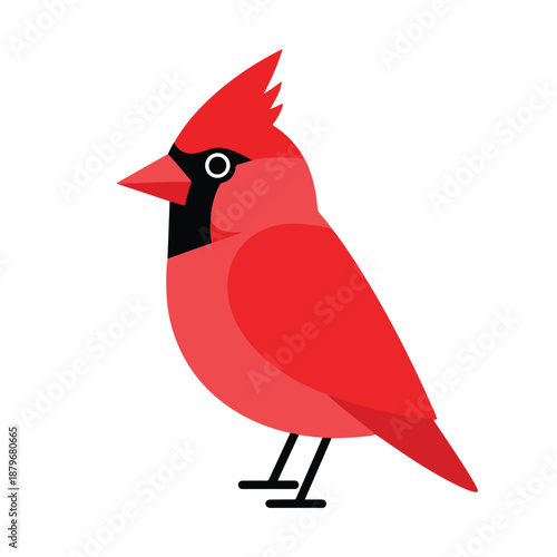 Red Bird Illustration on White Background
