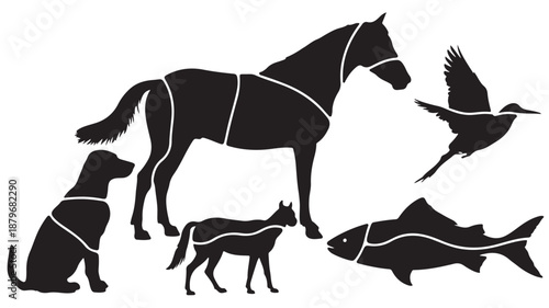 Black Silhouettes of Various Animals including Dog, Cat, Horse and Bird, and Fish on White Background