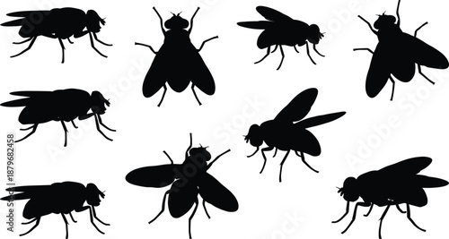 Fly insect silhouettes set showing multiple flying and resting poses isolated on white background, black bug shapes collection for pest control, biology, nature and graphic design projects