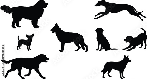Set of various dog silhouettes in different poses isolated on white background, black canine shapes collection for pet design, logo, poster, and creative projects