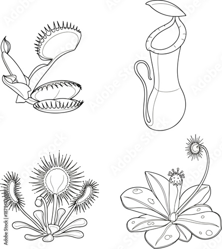 Hand Drawn Set of Carnivorous Plants Botanical Outline Illustration