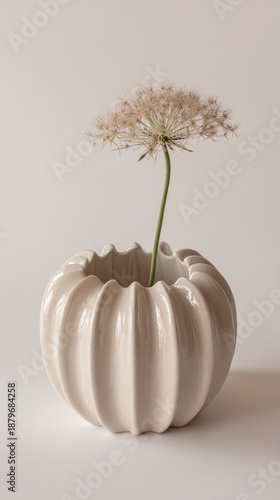 Elegant white ceramic vase with delicate blooming flower on a soft background