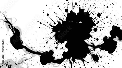 The image appears to be blank or contains an error, with no visible content or identifiable elements present.