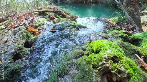 Serene waterfall cascading over mossy rocks in forest