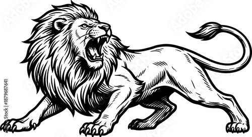 Powerful Roaring Lion Vector Engraving. Aggressive Big Cat Woodcut Illustration. Regal Lion King Mascot or Emblem Design in Black and White.