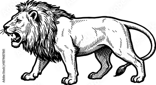 Fierce Roaring Lion in Classic Engraving Style - Majestic Wild Cat Woodcut Illustration