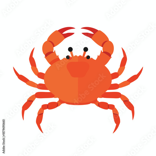 Vibrant Red Crab Illustration